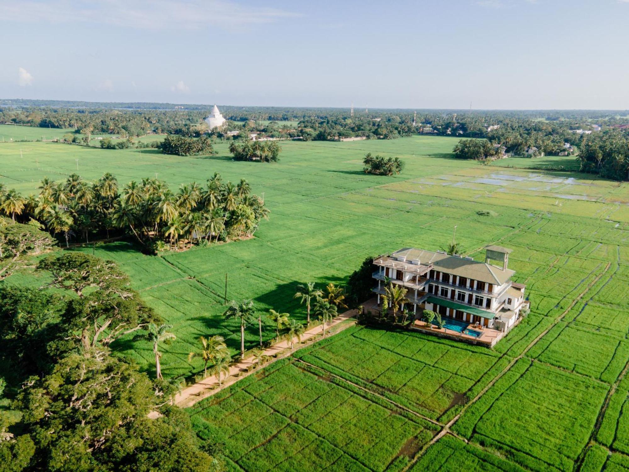 Serene Park Hotel By Ark Tissamaharama Ngoại thất bức ảnh