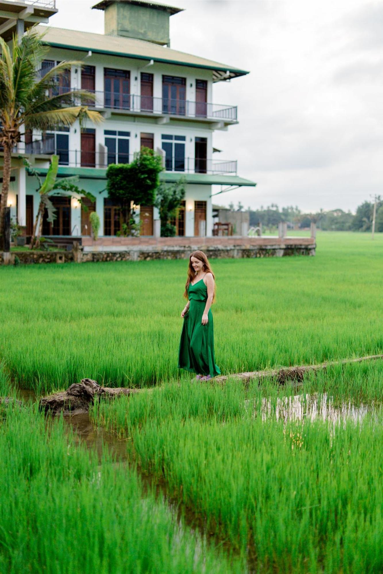 Serene Park Hotel By Ark Tissamaharama Ngoại thất bức ảnh