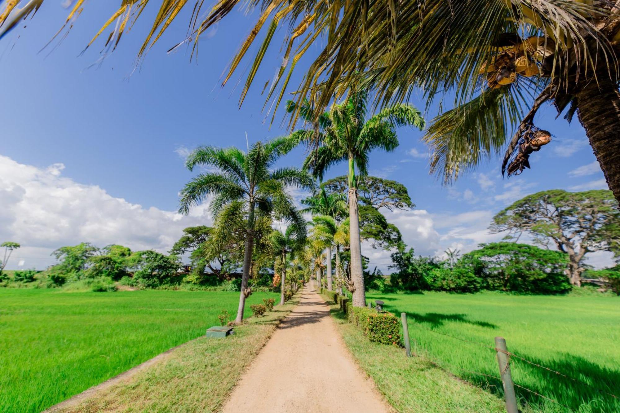 Serene Park Hotel By Ark Tissamaharama Ngoại thất bức ảnh