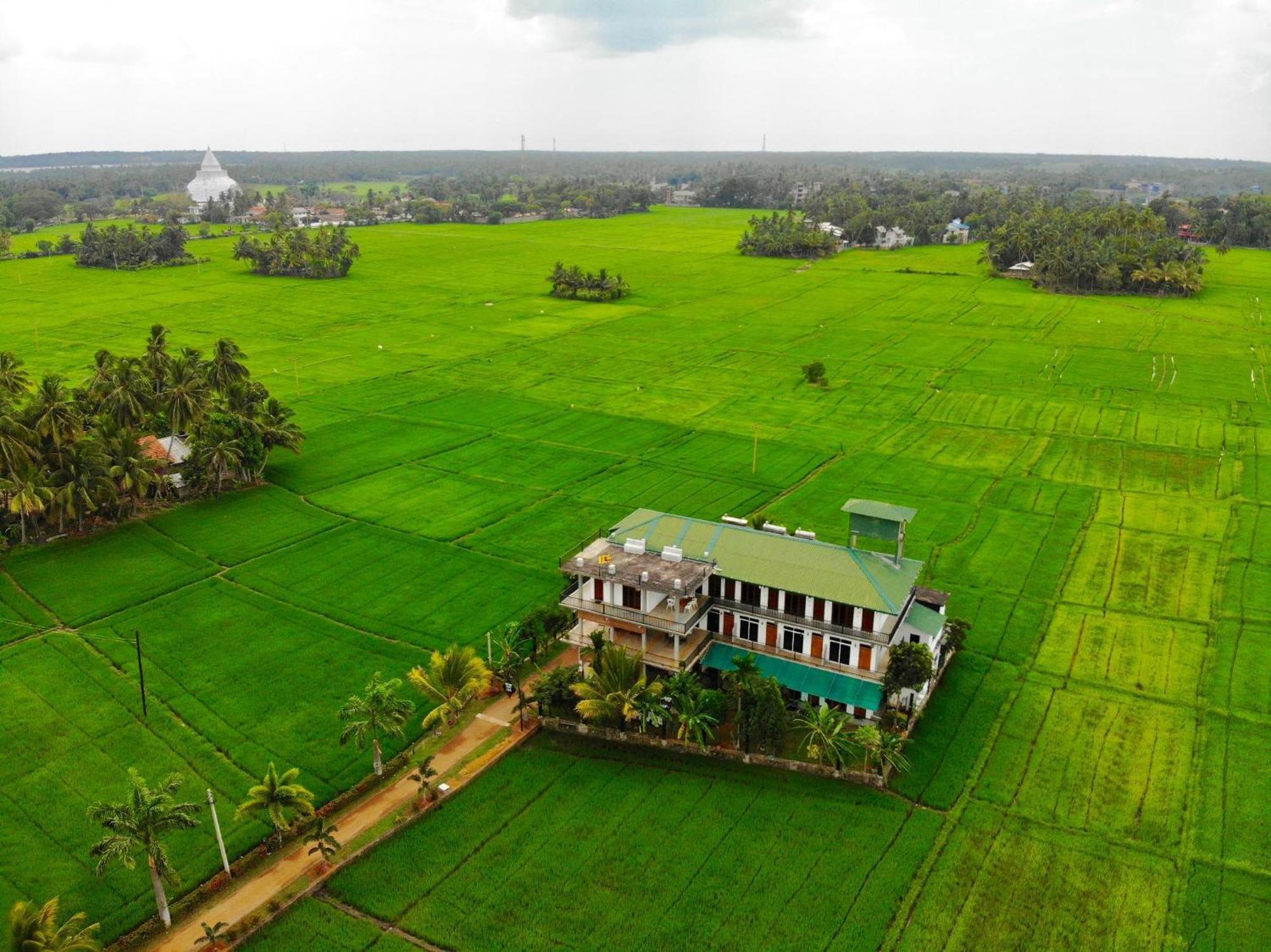 Serene Park Hotel By Ark Tissamaharama Ngoại thất bức ảnh